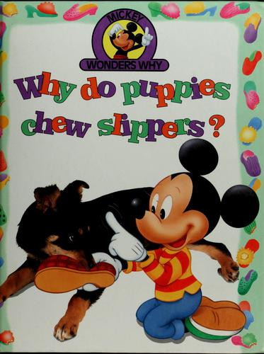 Why Do Puppies Chew Slippers? (Mickey Wonders Why)