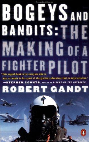 Bogeys And Bandits: The Making Of A Fighter Pilot