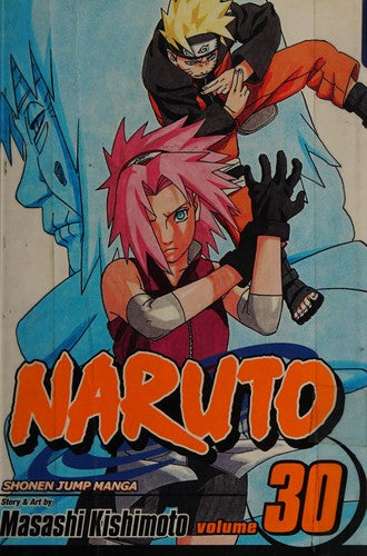 Naruto, Volume 30