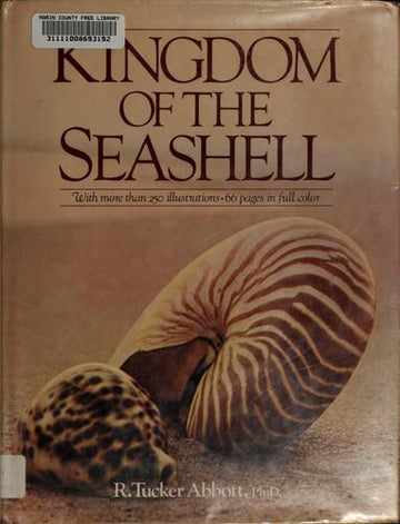 Kingdom Of The Seashell