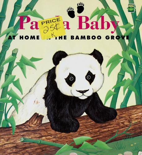Panda Baby: At Home In The Bamboo Grove